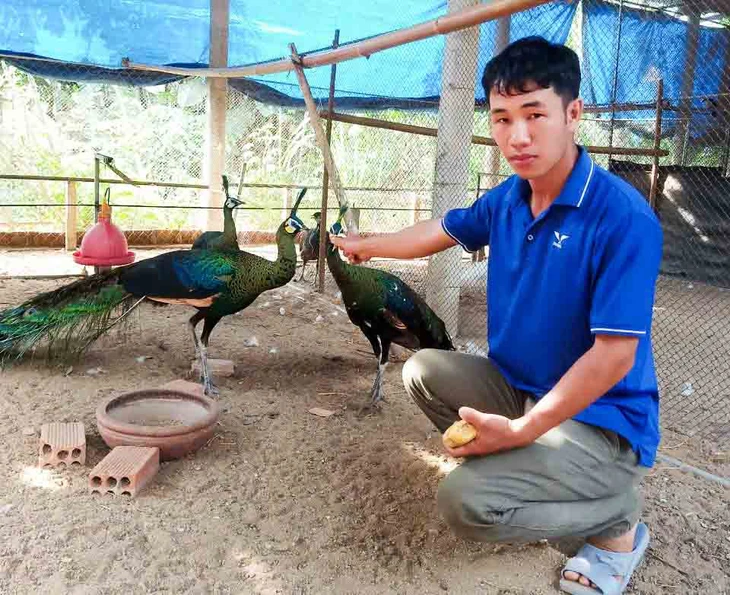 Gia Lai - Ảnh 1.