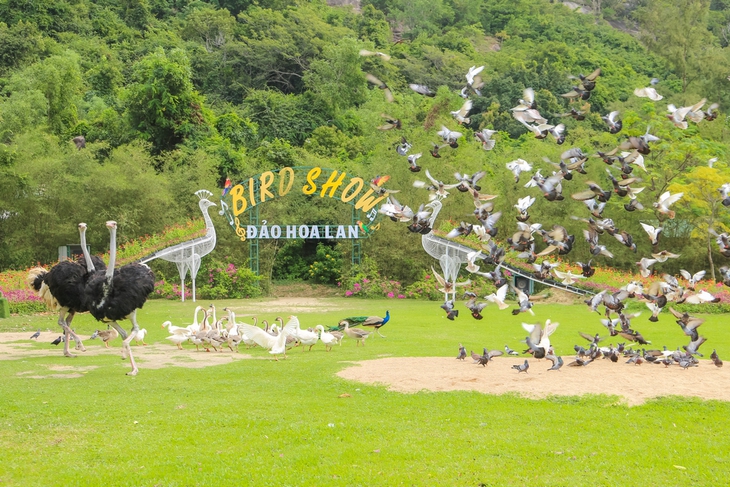 Đảo Hoa Lan – vịnh Nha Phu - Ảnh 1.