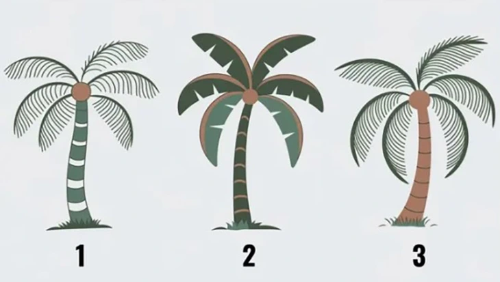 quiz - Ảnh 1.