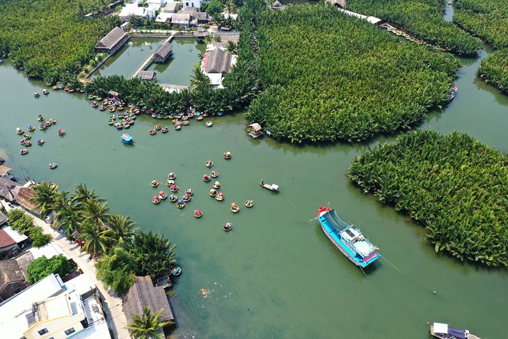 rừng dừa - Ảnh 4.