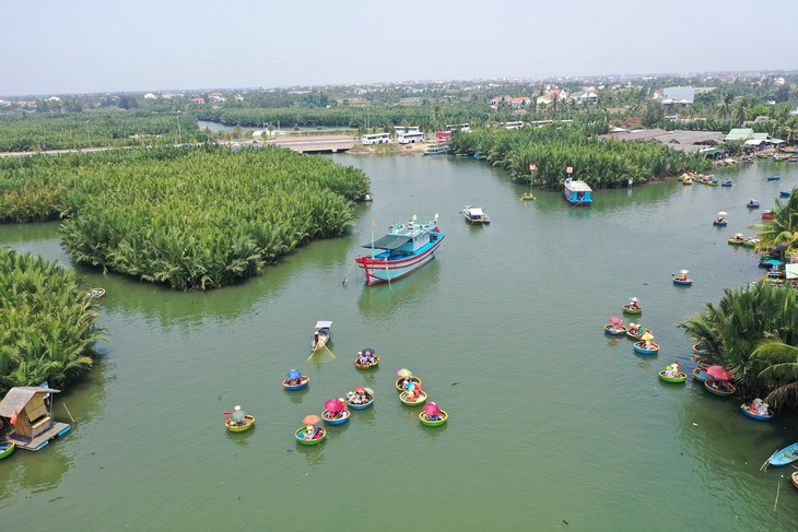 rừng dừa - Ảnh 7.
