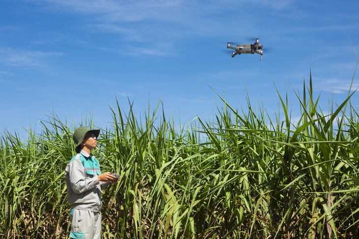 AgriS kết nối Tây Ninh - Queensland, thúc đẩy liên kết '5 nhà' - Ảnh 4.