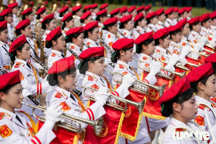 diễu binh, diễu hành - Ảnh 1.