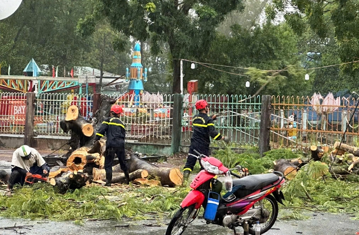 Mưa dông làm cây điệp cổ thụ bật gốc, đè 2 người đi đường ở Cà Mau - Ảnh 1.