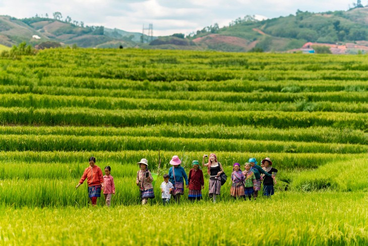 'Chị đẹp' Trang Pháp: Nếu sinh ra lần nữa nguyện vẫn mãi là người Việt Nam - Ảnh 6.