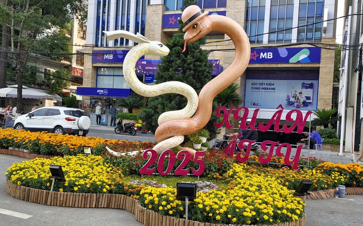 Quốc Khánh 2-9, Cần Thơ tổ chức đua xe chuyên nghiệp - Ảnh 2.