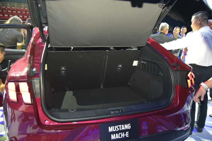 Ford Mustang - Ảnh 10.