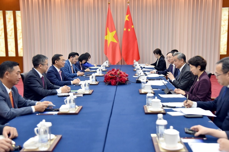 Phó thủ tướng, Bộ trưởng Ngoại giao Bùi Thanh Sơn gặp ngoại trưởng Trung Quốc, Lào - Ảnh 3.