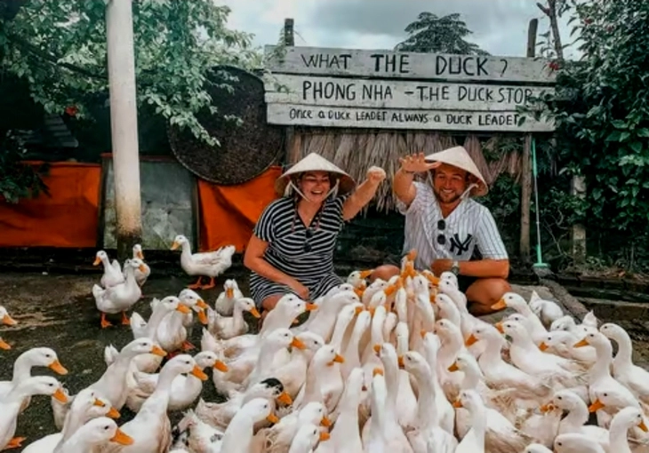 Phong Nha - Ảnh 1.
