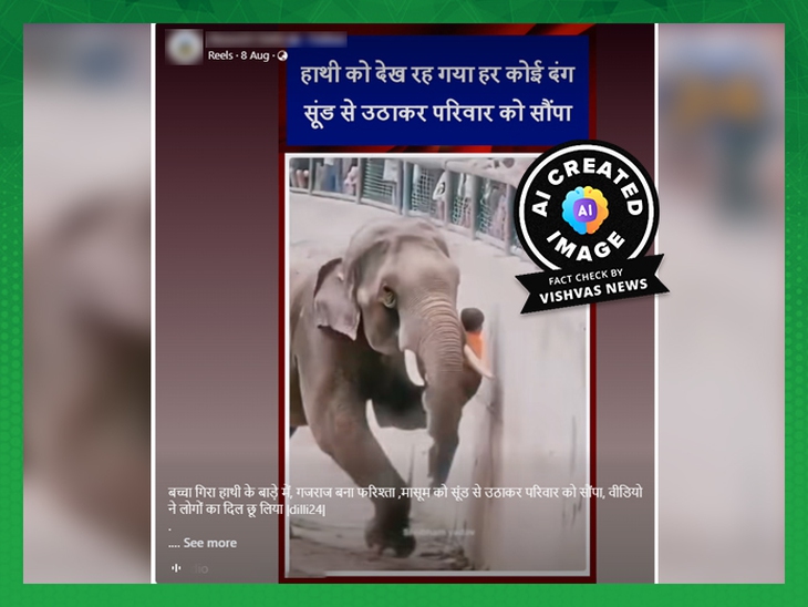 video - Ảnh 1.