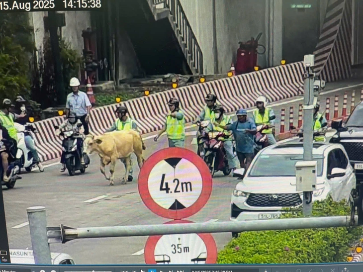 hầm sông Sài Gòn - Ảnh 1.