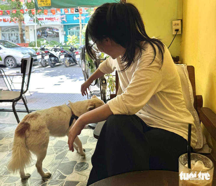 thú cưng - Ảnh 4.