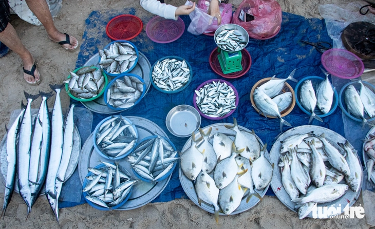 Đà Nẵng - Ảnh 3.
