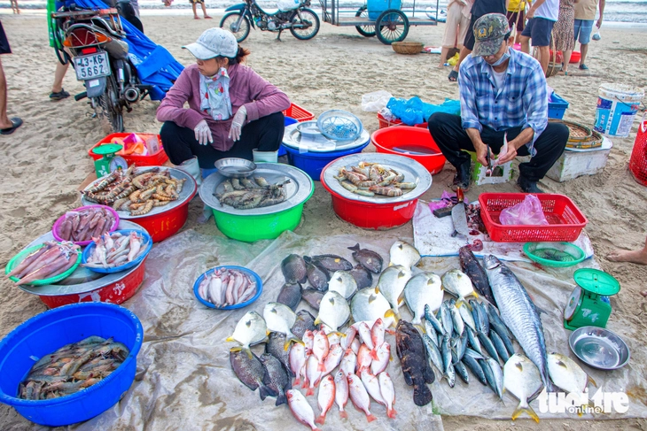Sáng sớm đi mua cá tươi, mực nháy tại chợ ‘chồm hổm’ dọc biển Đà Nẵng  - Ảnh 8.