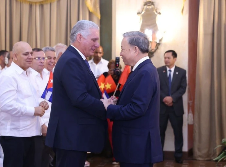 Chủ tịch Cuba cảm ơn sự giúp đỡ của người dân Việt Nam - Ảnh 1.