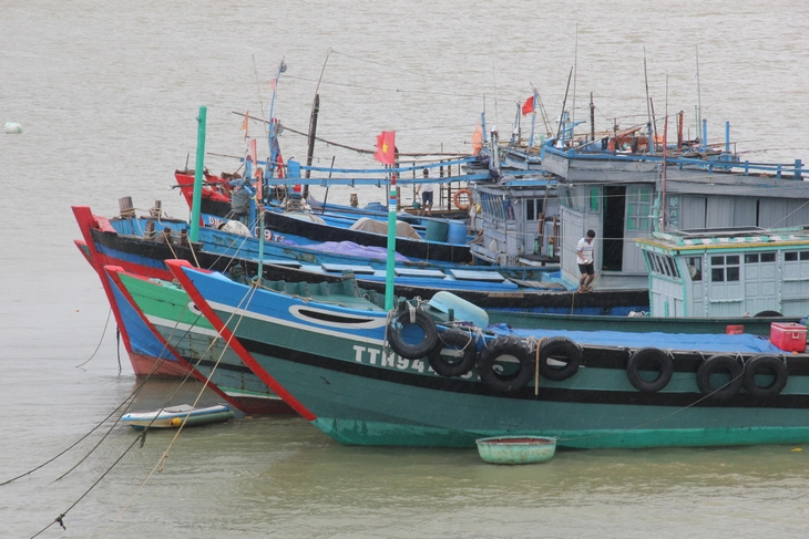 Đà Nẵng - Ảnh 1.