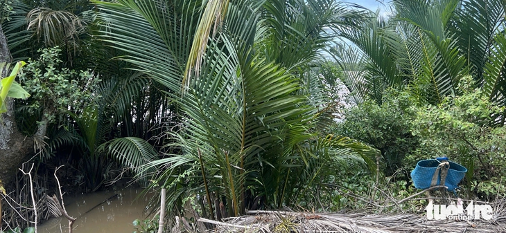 xác chết - Ảnh 1.