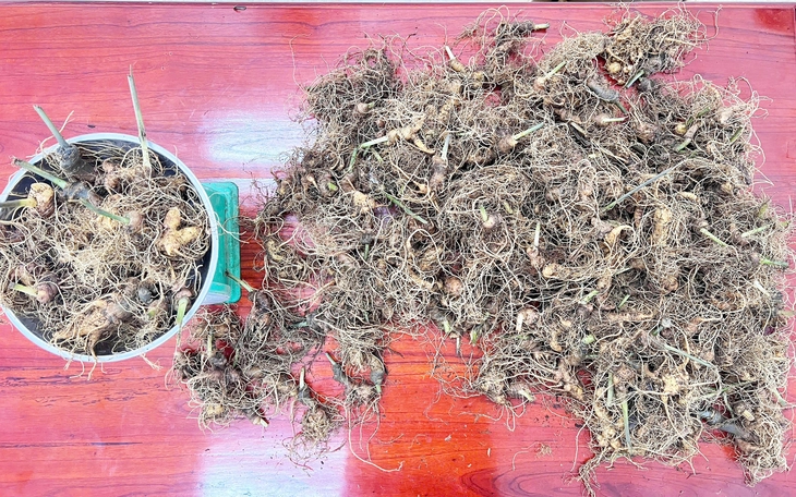 Nhân viên móc nối bảo vệ, lái xe để trộm hàng chục tấn sáp của công ty - Ảnh 2.