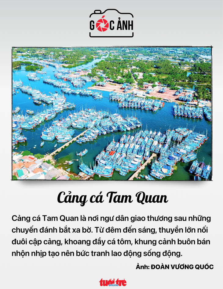 tin tức - Ảnh 7.