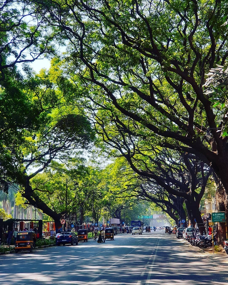 Kỳ tích con đường khi không có một ổ gà nào dù nhỏ suốt 50 năm, chỉ mới sửa nhỏ 2 lần - Ảnh 2.
