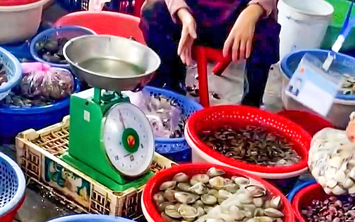 Mũi Né quyết dẹp nạn cân gian, làm sạch bãi biển làng chài - Ảnh 5.