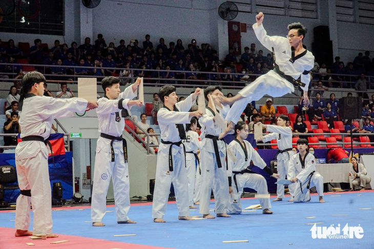 taekwondo - Ảnh 2.