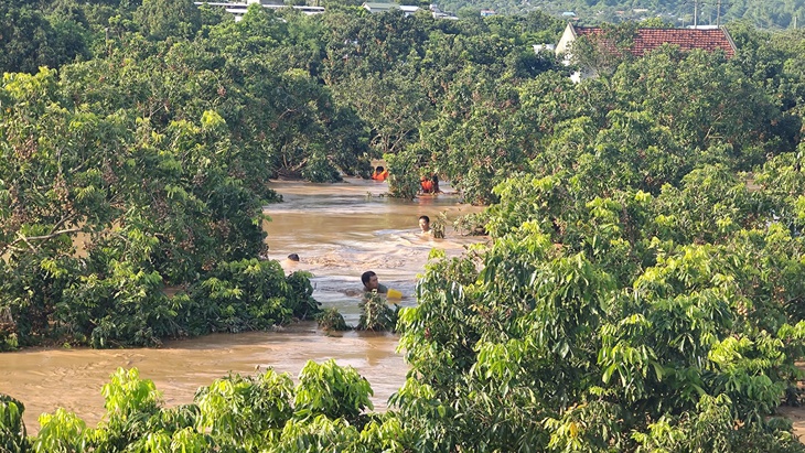 mưa lũ - Ảnh 1.
