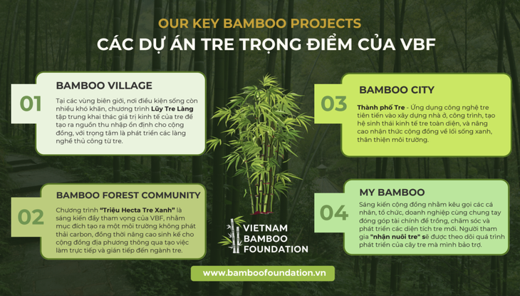 Quỹ phát triển tre Việt muốn đánh thức ngành tre - Ảnh 5.