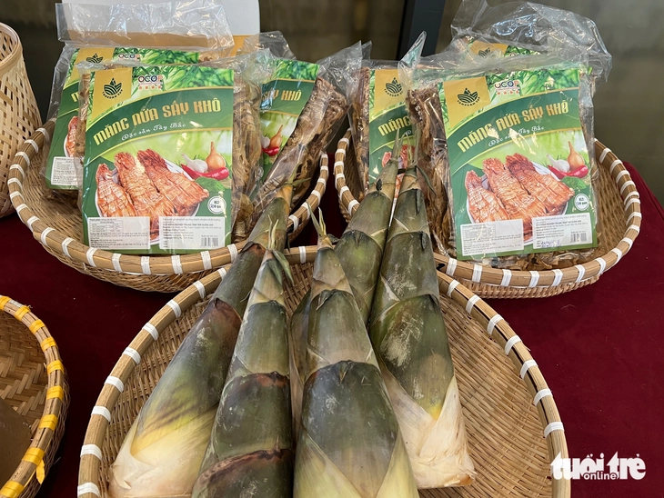 Quỹ phát triển tre Việt muốn đánh thức ngành tre - Ảnh 2.