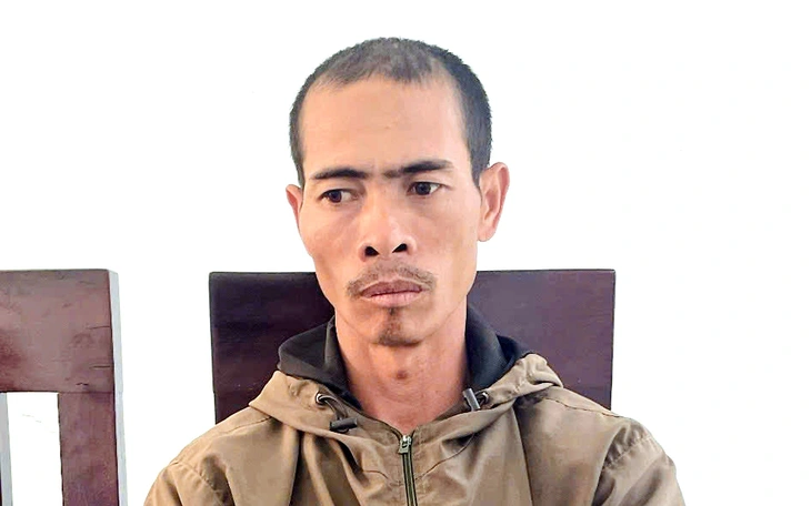 Vụ anh rể phá vườn cà phê em vợ: Xử phạt em vợ 4 triệu đồng vì chung sống như vợ chồng với anh rể!- Ảnh 2.