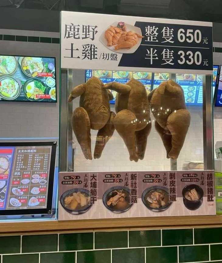 vu quy - Ảnh 2.
