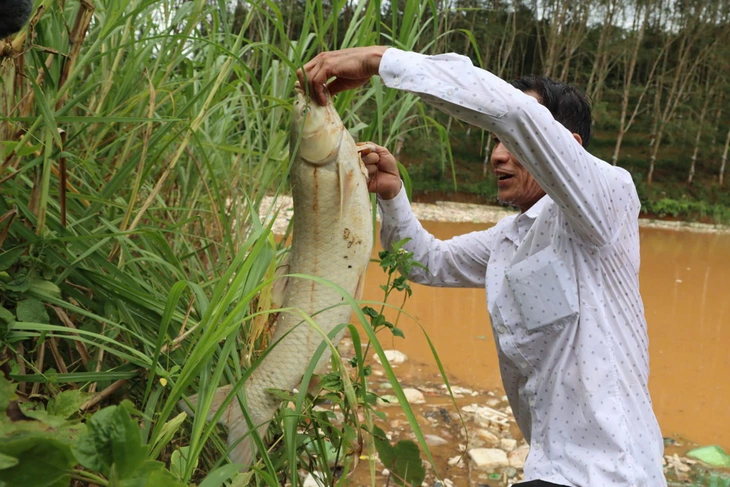 Vỡ bờ bao hố chôn lấp, rác chảy ào ào làm cá chết, môi trường ô nhiễm - Ảnh 1.