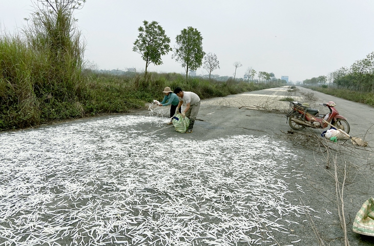 Sửa Luật Đất đai, khơi thông nguồn lực - Ảnh 1.