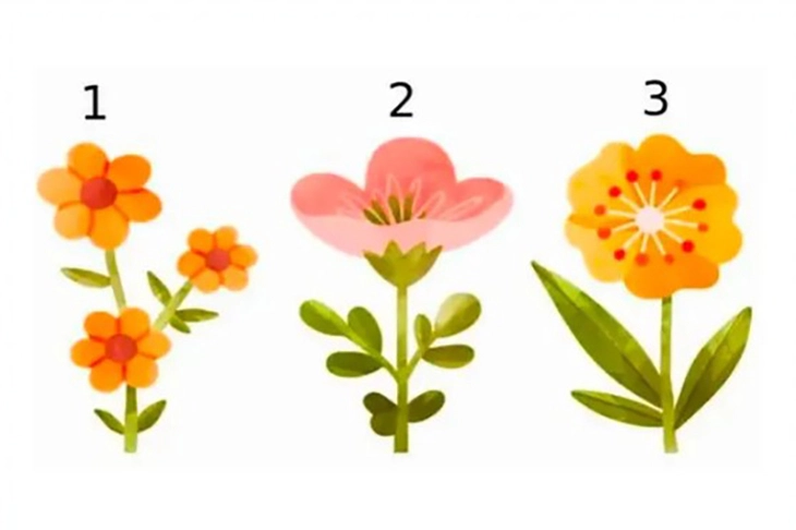 quiz - Ảnh 1.