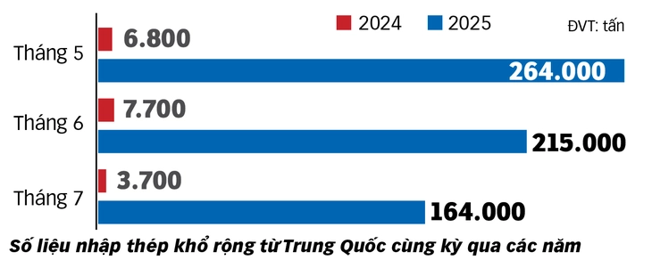 Đua nhập thép khổ rộng để né thuế? - Ảnh 2. thép khổ rộng - Ảnh 2.