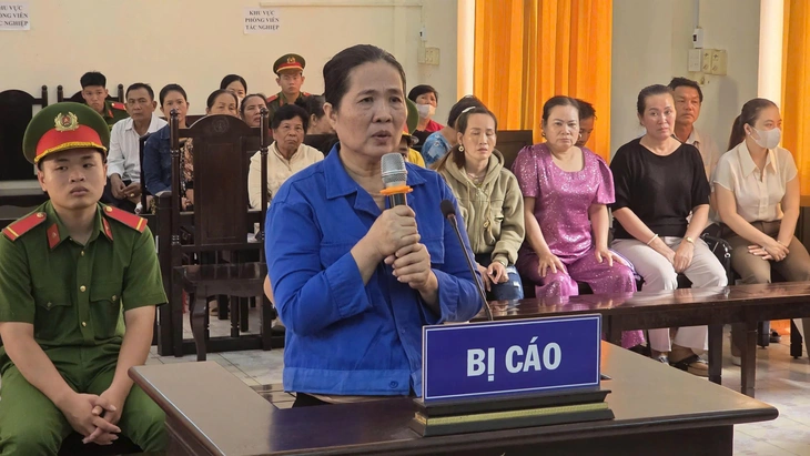 Phạt chủ hụi 20 năm tù vì lừa đảo gần 17 tỉ đồng của hụi viên - Ảnh 1.