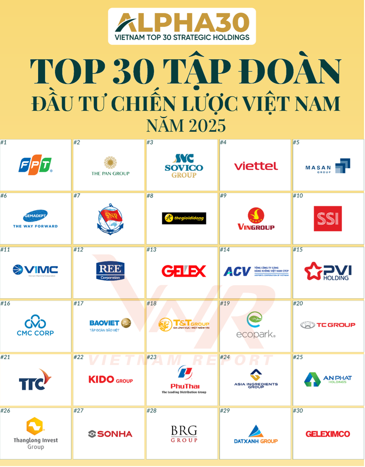doanh nghiệp - Ảnh 2.