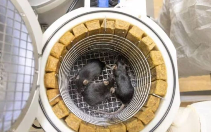 Nga phóng 52 vệ tinh trong một lần, có cả vệ tinh Iran - Ảnh 2.