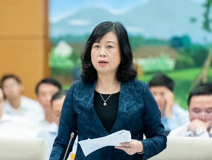Đào Hồng Lan - Ảnh 1.