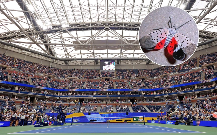 Hai tay vợt Đông Nam Á dự vòng đấu chính US Open 2025 - Ảnh 2.