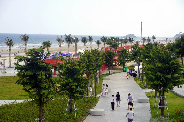 bãi sau - Ảnh 1.