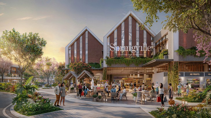 Springville: chờ ngày 'bừng nở' tại Nhơn Trạch - Ảnh 2.