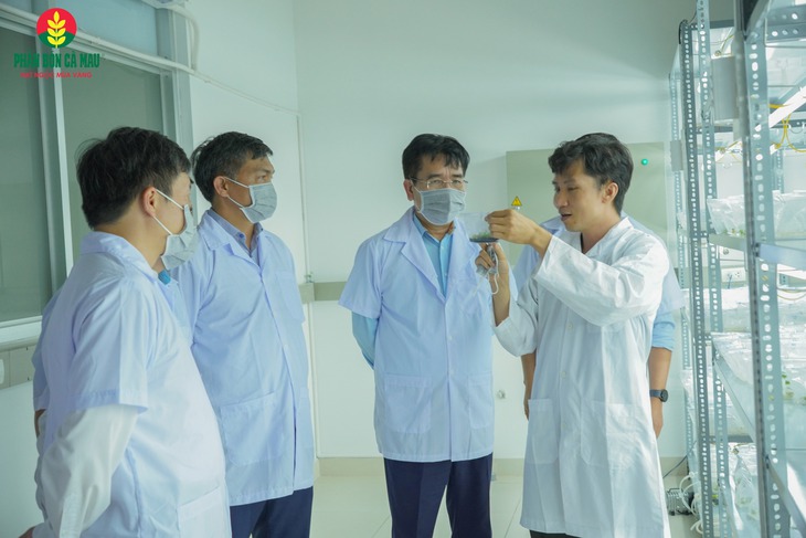 phân bón - Ảnh 3.