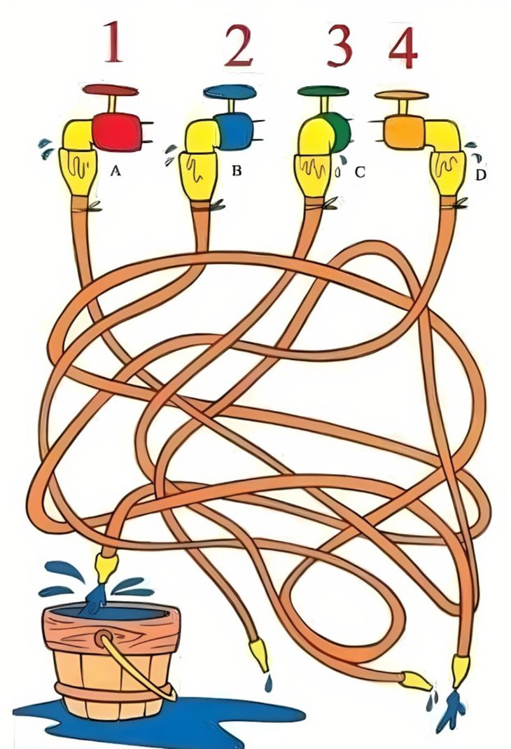 Thử tài tinh mắt - Ảnh 3.