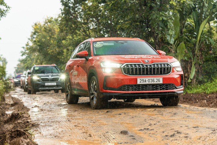 Skoda - Ảnh 5.