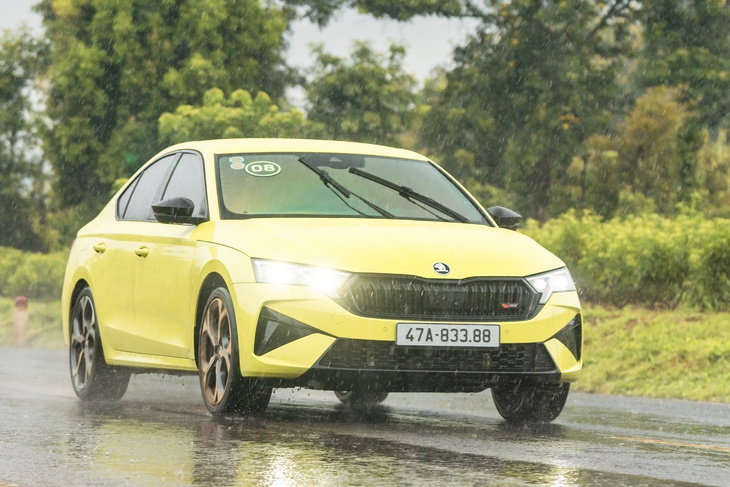Skoda - Ảnh 23.