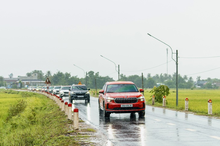 Skoda - Ảnh 14.