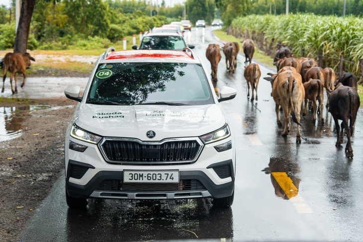Skoda - Ảnh 11.