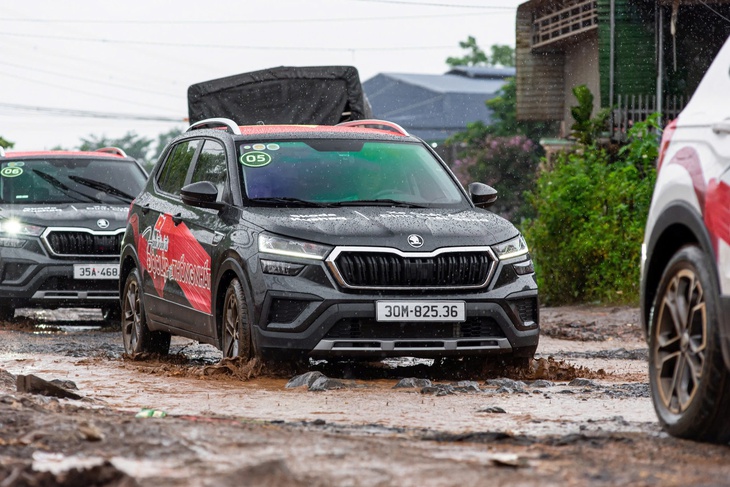 Skoda - Ảnh 8.