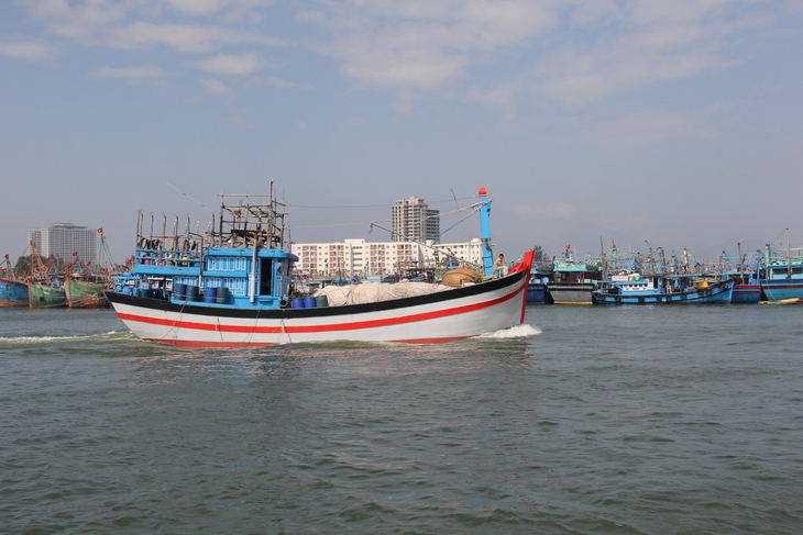 bão số 5 - Ảnh 1.